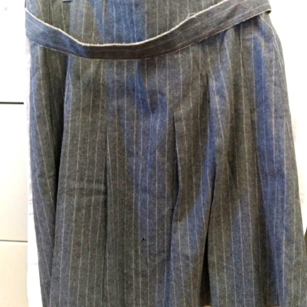 Gunex Davide Cenci Skirt 10 USA Gray Pleated Pencil  Knee length High Zipper